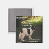 Magnet Poem N'Importe Quel Chien Rêver Ladee Basse (Recto/Verso)