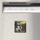 Magnet Poem N'Importe Quel Chien Rêver Ladee Basse (In Situ (Lave-vaisselle))
