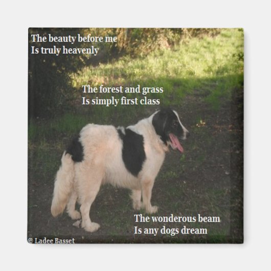 Magnet Poem N'Importe Quel Chien Rêver Ladee Basse (Devant)