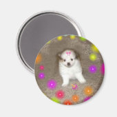 Magnet Poméranien de bébé (Recto/Verso)