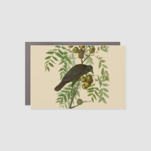Magnet Pour Voiture Audubon American Crow Black Bird