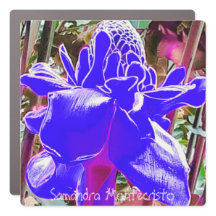 Grande Galerie d'art de frigo et d'aimant de voitu