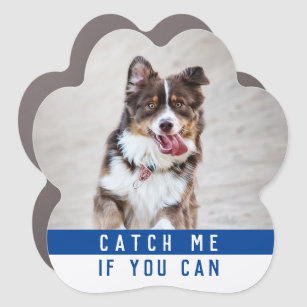 Magnet Pour Voiture Jolie moderne amusant chien Paw Pet Pet Photo