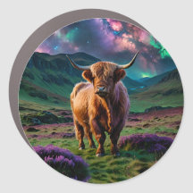 Vache Highland Under The Stars