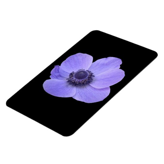Magnet Premium Anemone bleu (Côté Gauche)