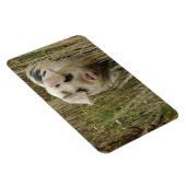 Magnet Premium de porc mignon (Côté Droit)