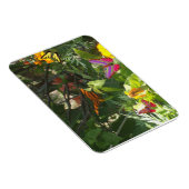 Magnet Premium feuilles et papillons (Côté Droit)