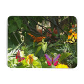 Magnet Premium feuilles et papillons (Horizontal)