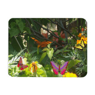 Magnet Premium feuilles et papillons