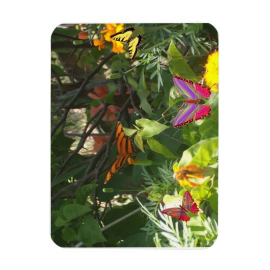 Magnet Premium feuilles et papillons (Vertical)