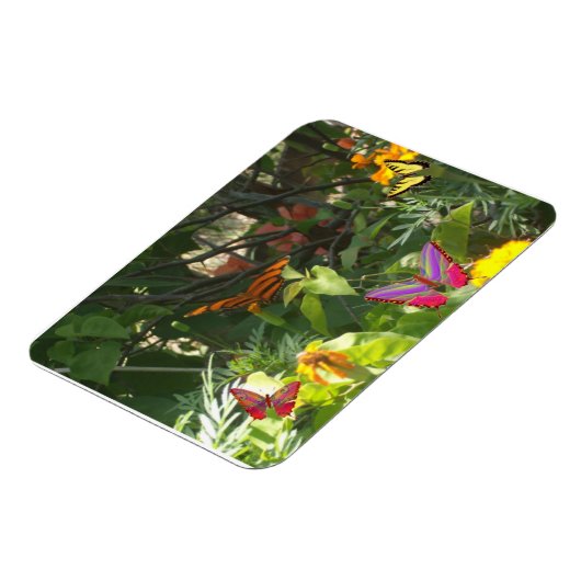 Magnet Premium feuilles et papillons (Côté Gauche)