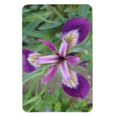 Magnet Premium Iris violet (Vertical)