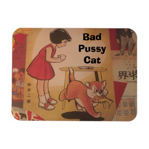 Magnet-prinses Magneet