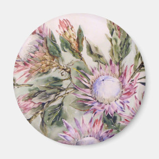 Magnet Protea rond