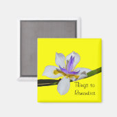 Magnet - Quinzaine Lilly (Recto/Verso)