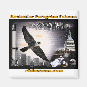 Magnet Rochester Peregrine Falcons Magneet