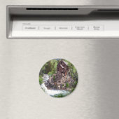 Magnet rond (In Situ (Lave-vaisselle))