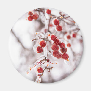 Magnet rond
