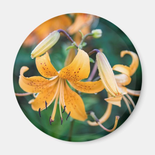 Magnet rond (Devant)
