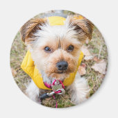 Magnet rond (Devant)