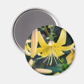 Magnet rond (Recto/Verso)