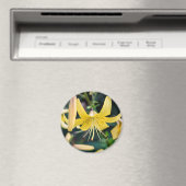Magnet rond (In Situ (Lave-vaisselle))