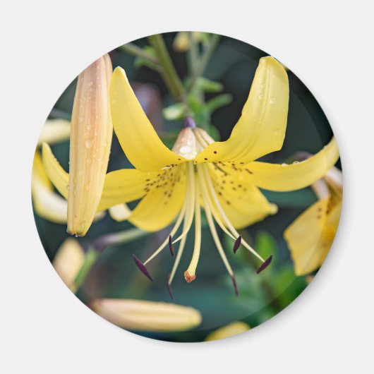 Magnet rond (Devant)