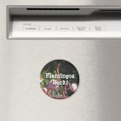 Magnet rond (In Situ (Lave-vaisselle))