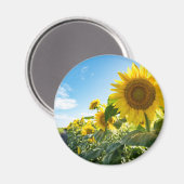 Magnet rond (Recto/Verso)