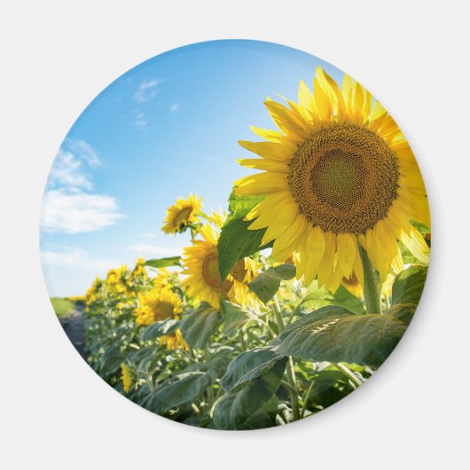Magnet rond (Devant)
