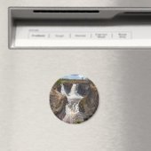 Magnet rond (In Situ (Lave-vaisselle))