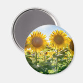 Magnet rond (Recto/Verso)