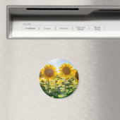 Magnet rond (In Situ (Lave-vaisselle))