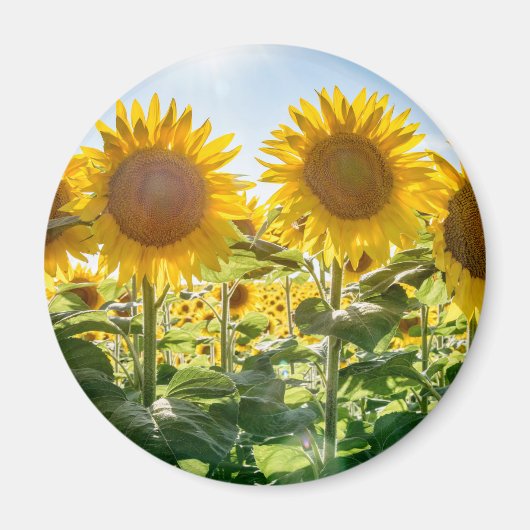Magnet rond (Devant)