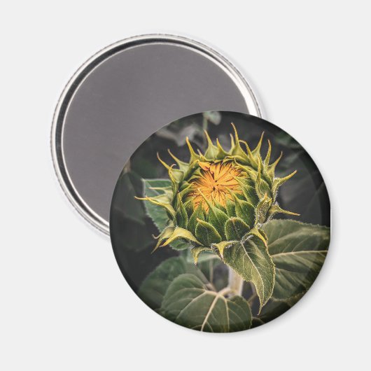 Magnet rond (Recto/Verso)