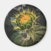 Magnet rond (Devant)