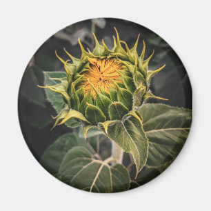 Magnet rond