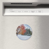 Magnet rond (In Situ (Lave-vaisselle))