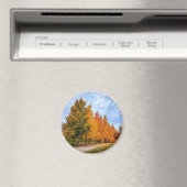 Magnet rond (In Situ (Lave-vaisselle))