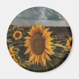 Magnet rond