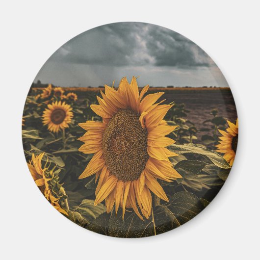 Magnet rond (Devant)