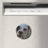 Magnet rond de chien de boxe à oeil noir (In Situ (Lave-vaisselle))