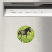 Magnet rond des marionnettes de Doberman (In Situ (Lave-vaisselle))