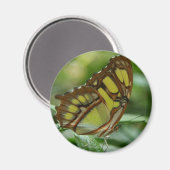 Magnet rond papillon malachite (Recto/Verso)