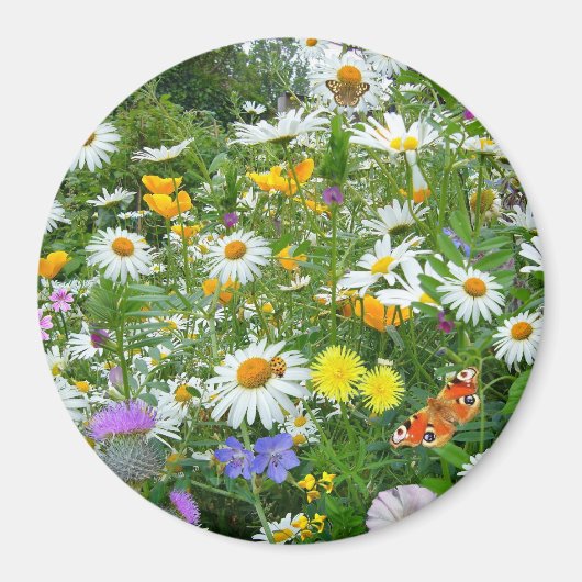 Magnet Rond pour Jardin d'Été (Devant)