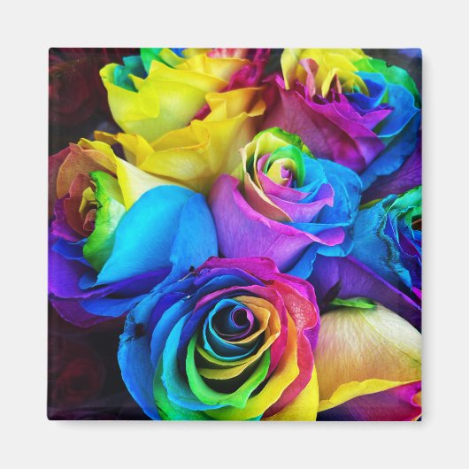 Magnet Rose arc-en-ciel (Devant)