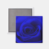 Magnet Rose bleu minuit (Recto/Verso)