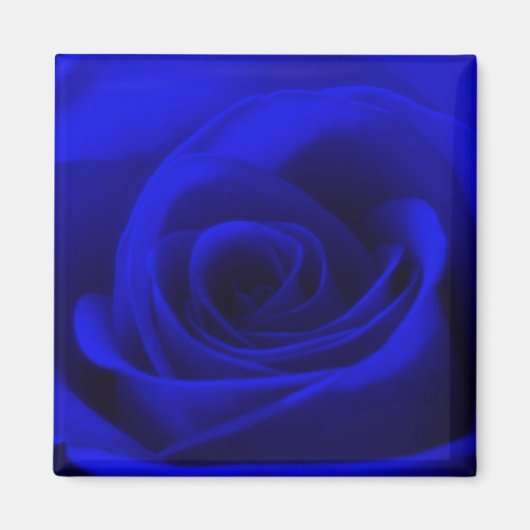 Magnet Rose bleu minuit (Devant)