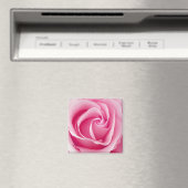 Magnet Rose de la dame rose - Carré (In Situ (Lave-vaisselle))