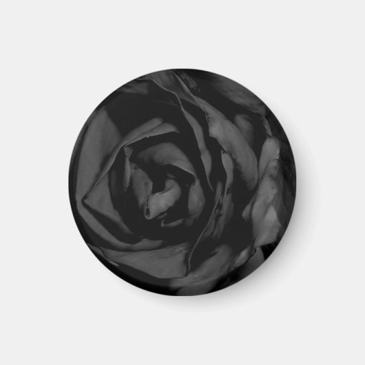 Magnet Rose noir (Devant)